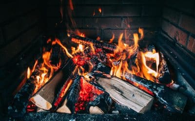 ¿Por qué la leña es la mejor opción para tu barbacoa y no el carbón?