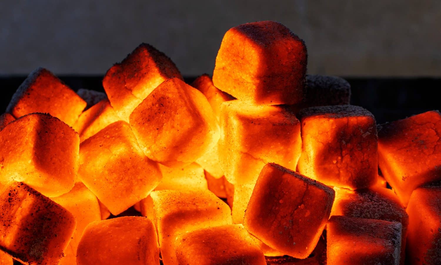 briquetas de carbon de coco 3
